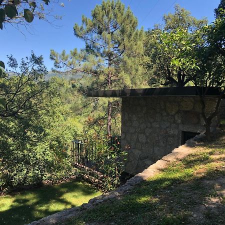 Sobreiro Valley - Casa Firmino วีเอย์รา ดู มีโญ ภายนอก รูปภาพ