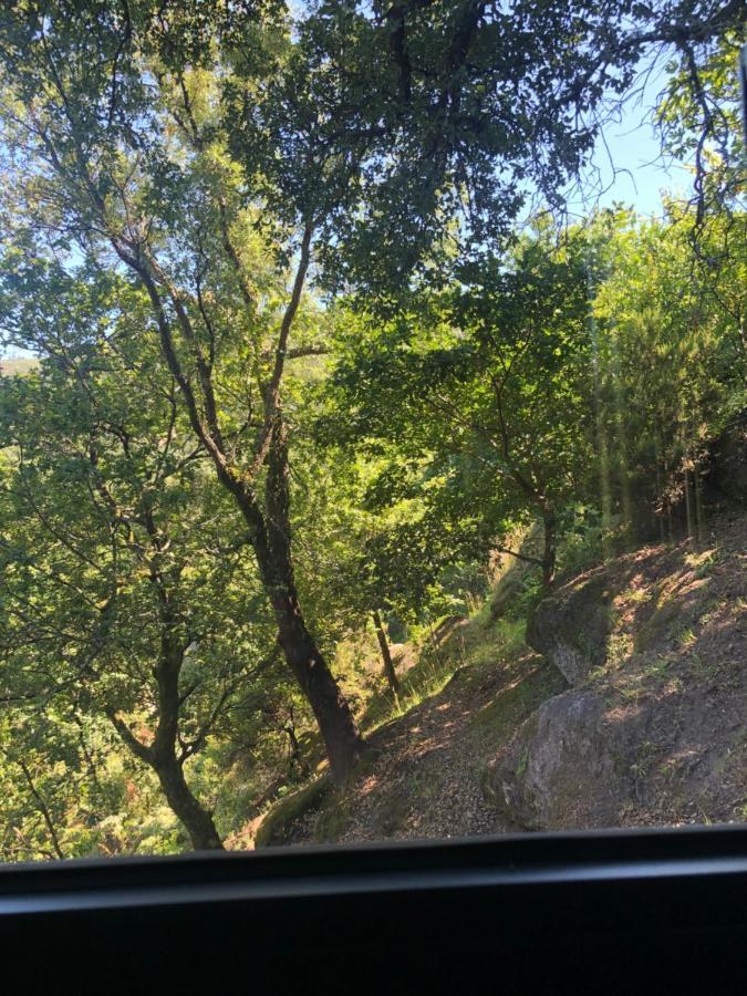 Sobreiro Valley - Casa Firmino วีเอย์รา ดู มีโญ ภายนอก รูปภาพ